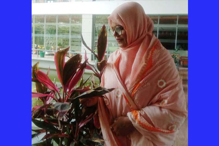 বৃদ্ধাশ্রমের ১৭ নম্বর কক্ষ